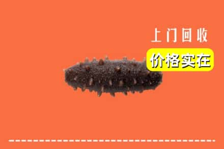 旺苍县回收海参